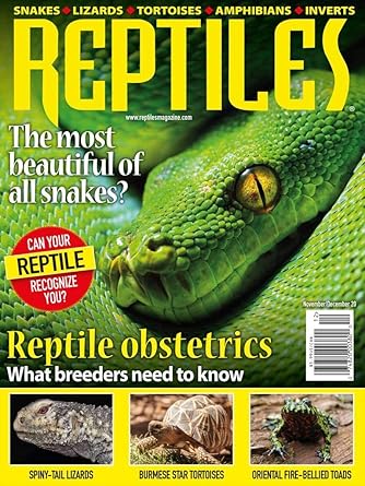 amazon reptile store