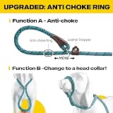 Fida Slip Lead for Dogs 1.8m Reflective Rope Leash Blue view 3