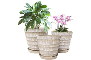 SUNPRO Plant Pots Indoor 7.5/6.5/5.5 Inch Set of 3 Plastic Planters for Indoor Plants with Drainage Hole and Saucer, Plastic Flower Pots, Nursery Planting Pot for Out Door Plants