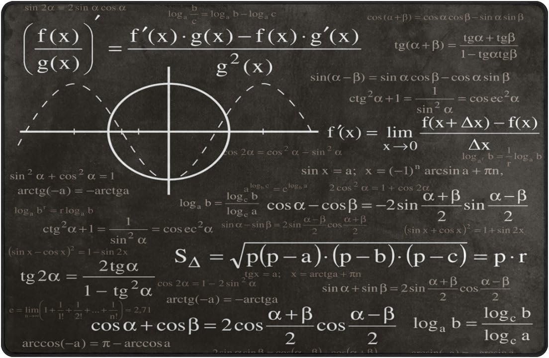 Eslifey Math and Physics Formula Area Rug Non-Slip Doormats Carpet Floor Mat for Living Room Bedroom 31 x 20 inches