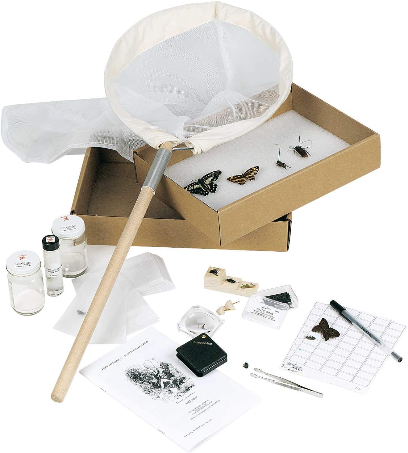 Amazon Com Student Insect Collecting Mounting Kit Office Products
