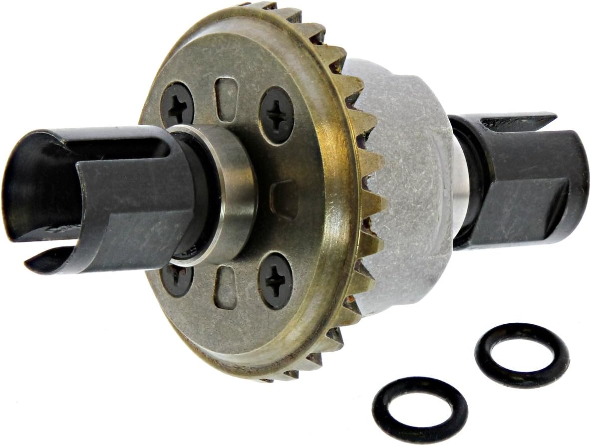 Memorial Day Sale Memorial Day Sale