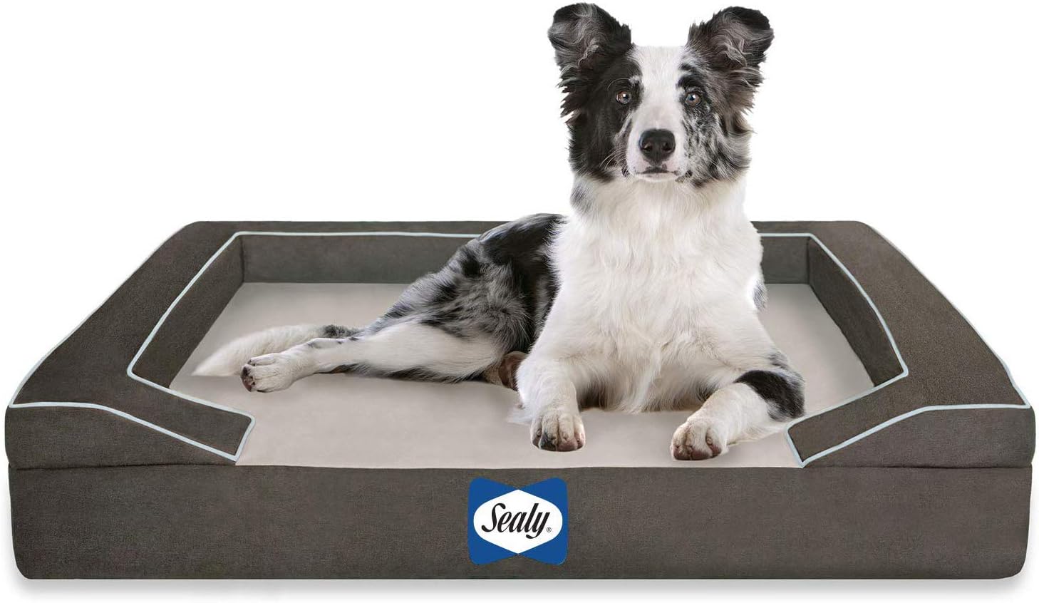 sealy lux dog bed