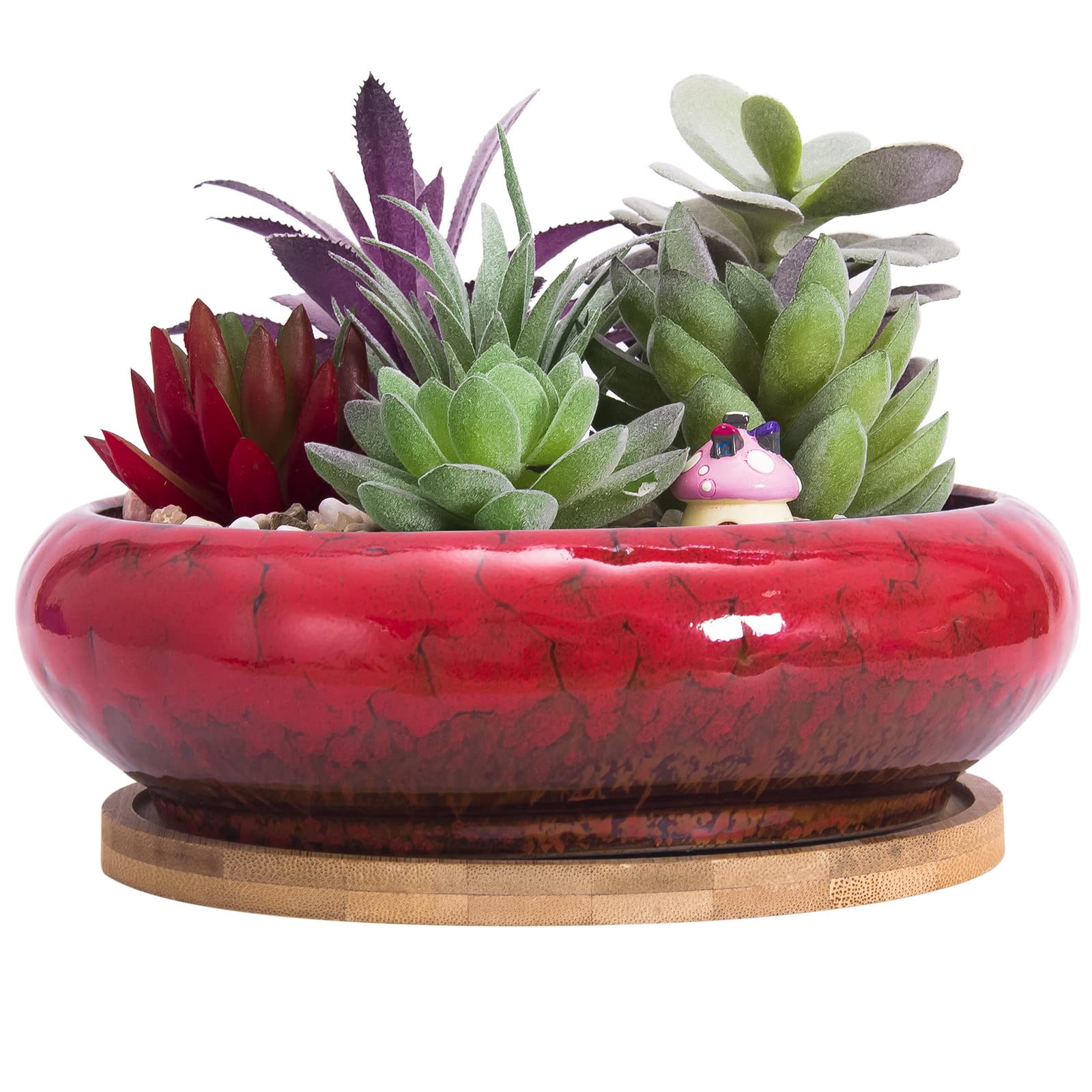 Succulent Plant Pot, 18.5CM Large Bonsai Pot with Tray Ceramic Succulent Pot with Drainage Hole Shallow Cactus Flower Pots for Indoor/Outdoor Plants Glazed Planter Bowl, Red