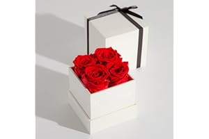 Fleur de Zen Forever Roses | Mothers Day & Valentines Day Gifts for Her, Long Lasting Preserved Roses | Preserved Flowers for Delivery Prime | Red Roses in a Box, Eternity Roses