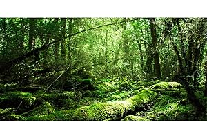 AWERT Vinyl 36x24 inches Tropical Terrarium Background Rainforest Aquarium Background Green Tree Reptile Habitat Background
