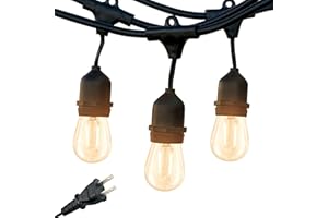 Brightech Ambience Pro - Waterproof LED Outdoor String Lights - 15 Hanging, Dimmable 2W Vintage Edison Bulbs - 48 Ft Commercial Grade Patio Lights Create Cafe Ambience in Your Backyard