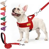 BEAUTYZOO Dog Harness Medium Sized and Leash Set, No Pull Step in Pet Vest | Breathable Mesh with Handle, Reflective, Adjustable No Choke Escape Proof, Lightweight, Easy Control for Walking, Red M