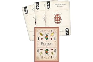 Beetles Playing Cards