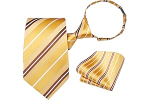 HISDERN Pre Tied Ties for Men Adjustable Mens Tie Classic Paisley Stripe Necktie and Pocket Square Set for Wedding Party