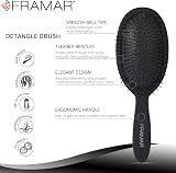 FRAMAR Detangle Hair Brush Women Wet or Dry Hair Black view 2