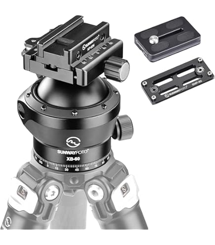 Amazon.com : Arca Swiss Monoball Z1+ Single Pan Tripod Head with