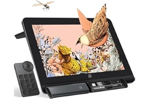 XPPen Artist Pro 16 Gen2 Drawing Tablet with Screen,2.5K QHD Graphic Tablet，Full Laminated Anti-Glare Screen 16384 Pressure L