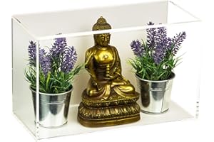 Better Display Cases Versatile Acrylic Display Case with White Back Horizontal Wall Mount 8" x 6" x 13" (A044-WB-HWM)