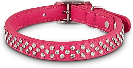 bond and co leather dog collars