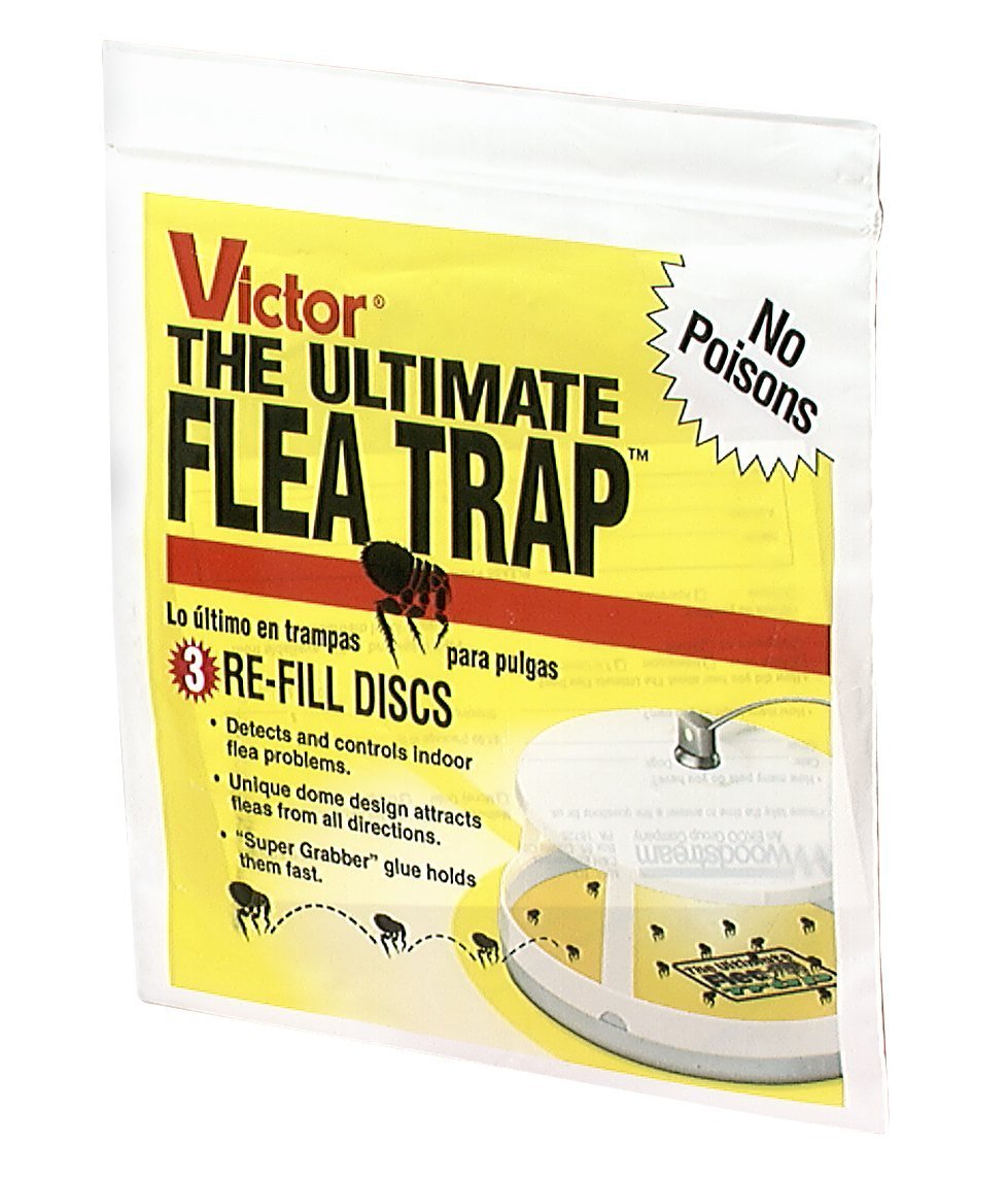 Victor M231 Ultimate Flea Trap Refills, 3 Per Pack Home