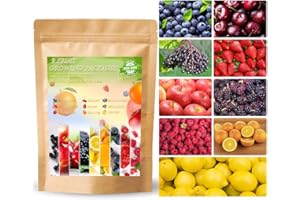 1259+ Mix Berry Seeds for Planting Heirloom Fruit Seeds Strawberry Raspberry Mulberry Apple Orange Blueberry Lemon Elderberry