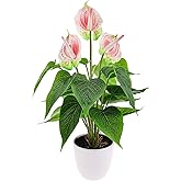 Folmywy Artificial Flower 15 Inch Anthurium Fake Plant Indoor Faux Simulation Tropical Flowers Pink in Plastic Pot Realistic Bonsai Greenery Table Centerpieces Shelf Decor Outdoor Garden