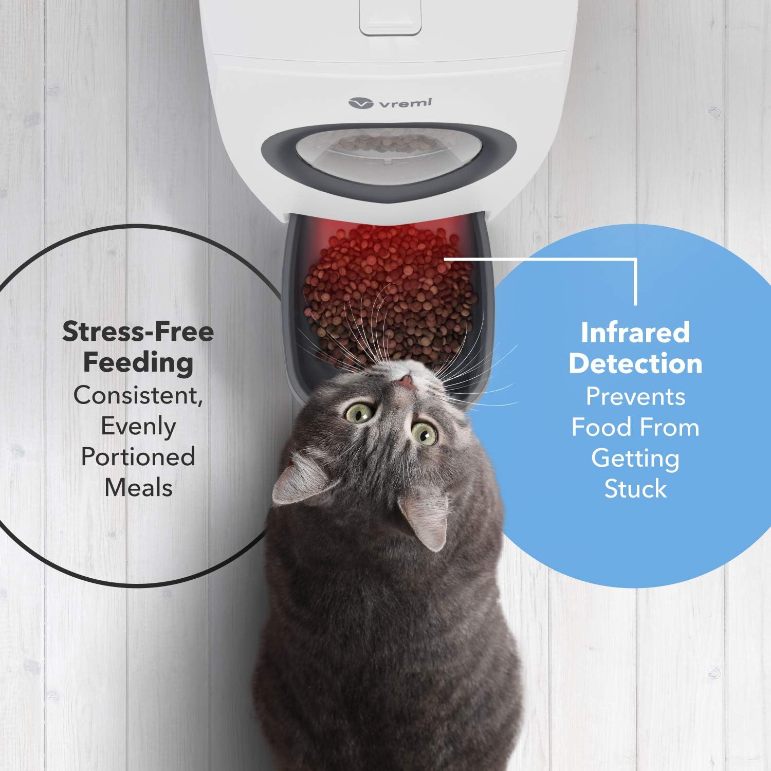 Kitchen & Dining : Vremi Automatic Pet Feeder for Cats and Dogs - Large 6L Capacity - Easily Programmable with Timer for up to 4 Meals Per Day - AC Power with Battery Backup and Voice Recorder for Custom Feeding Message : 