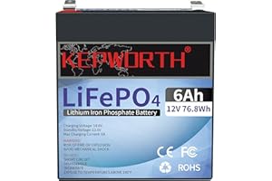DEESPAEK 12V 6Ah LiFePO4 Battery, Rechargeable Lithium Batteries with 10A BMS Protection, Over 2000+ Deep Cycle, Perfect for Ride on Toys, Home Alarm, Backup UPS, Scooter, Radio