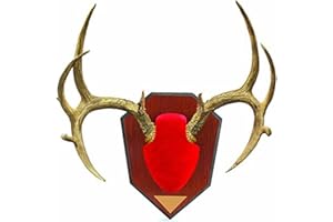 ALLEN COMPANY Allen Antler Mounting Kit with Green Skull Cover