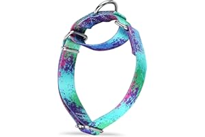 Dazzber Martingale Dog Collar Escape-Proof for Training - No-Buckle, Durable Polyester Design for Medium Breeds (Ecological Oasis, M)