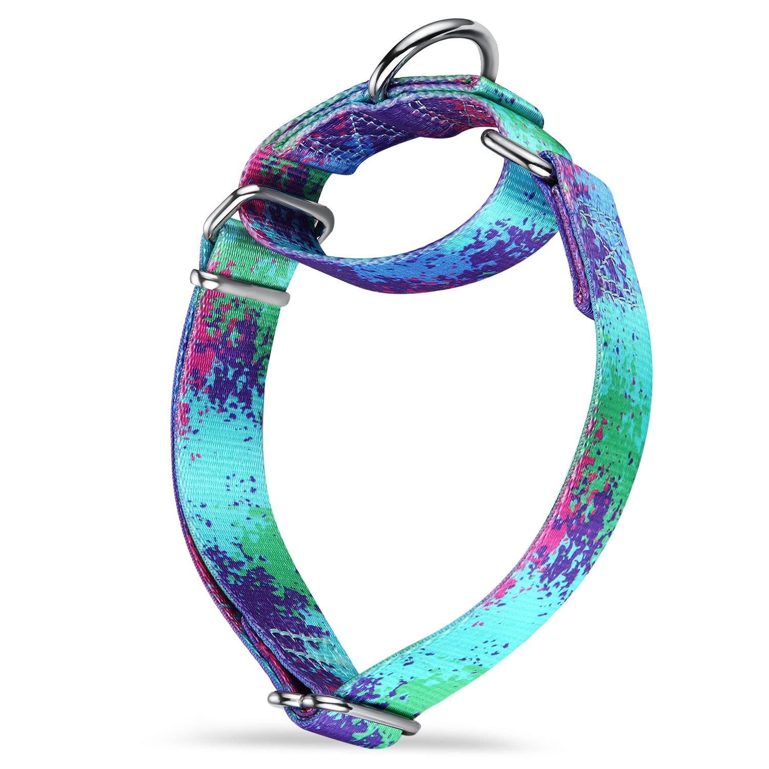 Dazzber Martingale Dog Collars Colourful Oil Painting Pattern Series - No Pull Pet Collar Silky Soft for Medium and Large Dogs (Medium, 2.5cm Wide, Ecological Oasis)