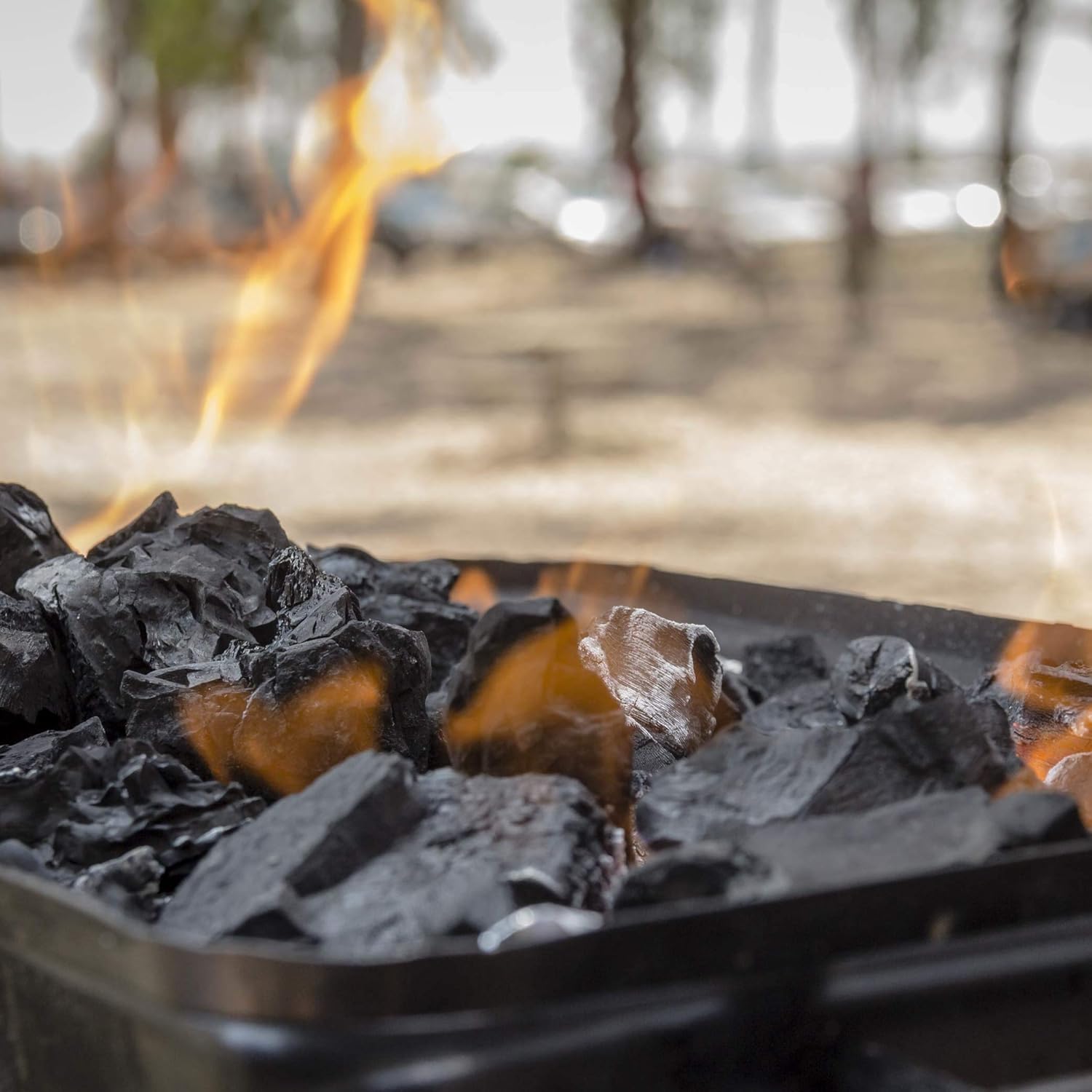 Barbecue à charbon de bois naturel sans fumée pour barbecues Quebracho Blanc argentin Haut