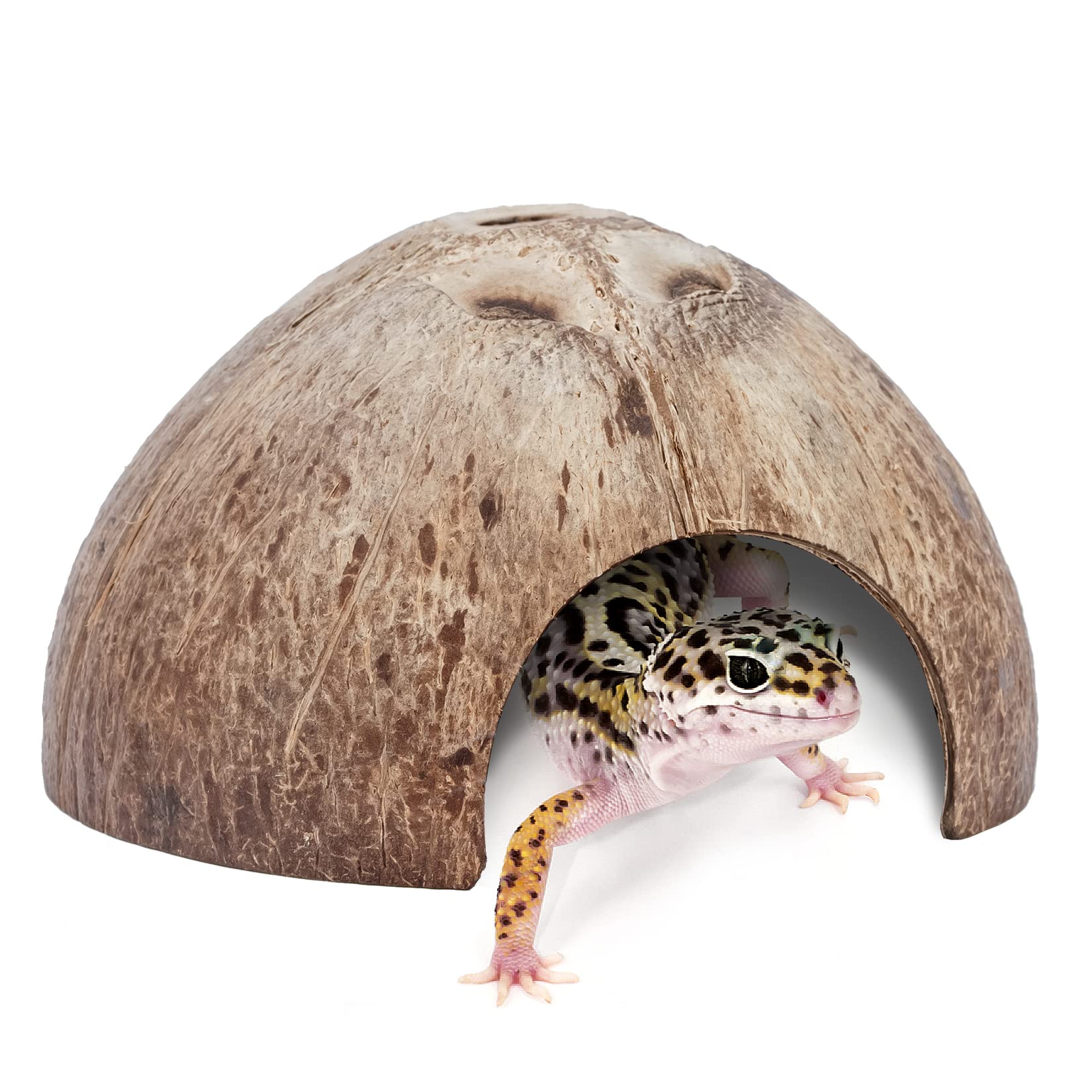 Photo 1 of 2 Pack Natural Coconut Reptile Hideouts, Lizard, Spider and Aquarium Fish Hide Cave (Smooth Surface)