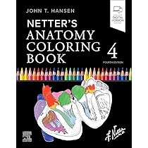 NETTER’s ANATOMY COLORING BOOK Netter's Anatomy Coloring Book | Amazon.com.br