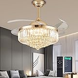 PAFRUMGE 48'' Crystal Ceiling Fan with Light and