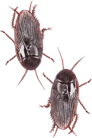 Kakerlaken Plastik Ungeziefer 2 St Scherzartikel Joke Kafer Amazon De Spielzeug