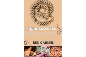 HOGNOSE SNAKE: Charm of the Earth — Gentle by Nature, Strengthened by Careful Feeding