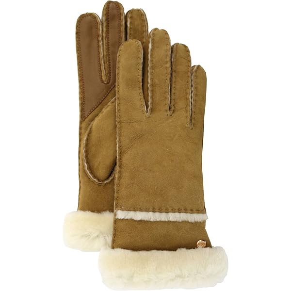 UGG Women's Leather Sheepskin Vent Gloves with Conductive Tech