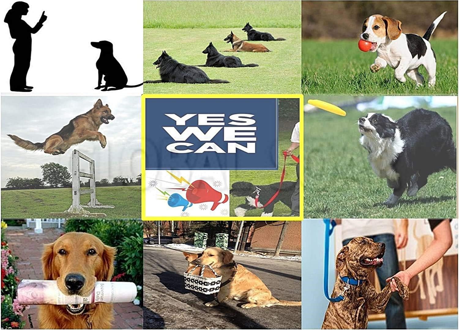 shock collar for 10 pound dog