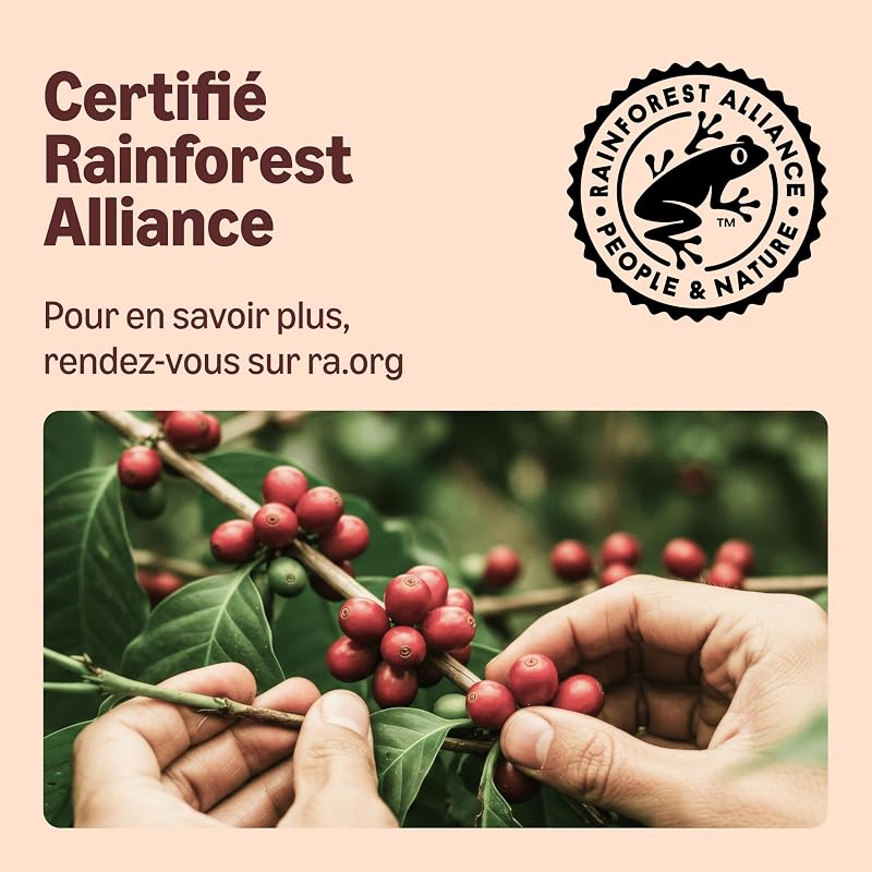 Capsules de café Espresso compatibles avec Nespresso, capsule en aluminium, torréfaction légère, 100 Pièces, 5 lot de 20 - Certifié Rainforest Alliance