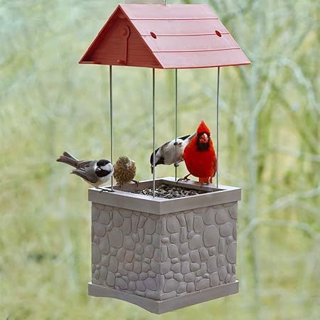 Amazon Com Heath Outdoor Products M55859 Infinity Bird Feeder
