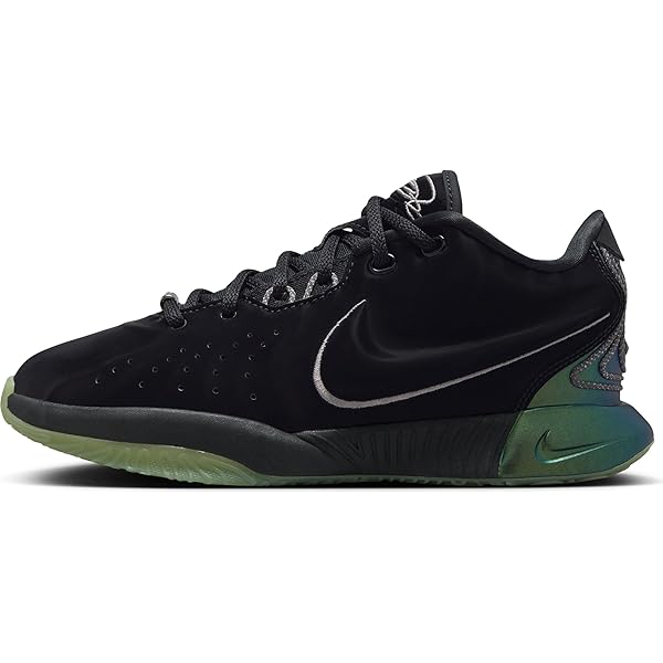 lebron RC レブロン rookie SIGNED 2003-04 NIKE AZG 1 LEBRON ROOKIE SHOES KING JAMES