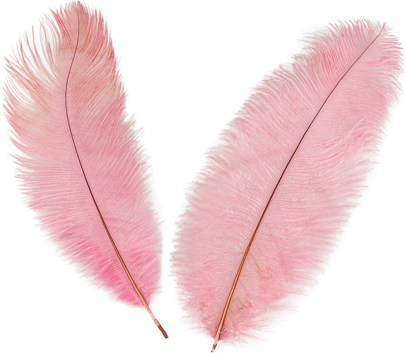 MWOOT 10pcs Natural Ostrich Feathers - Image 5