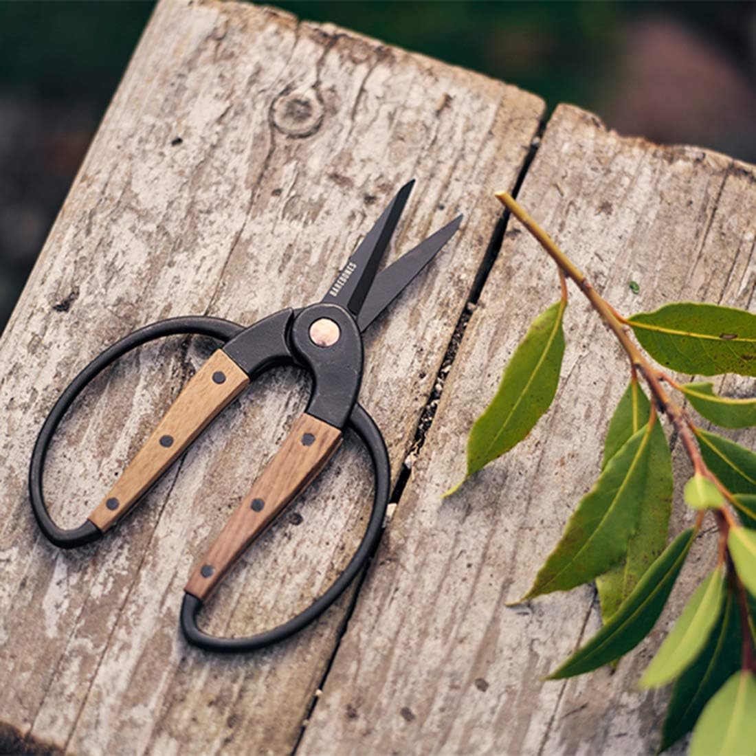 Barebones | Walnut Scissors, Small - Ambidextrous Grip, Wide Handles & Comfortable Fit: Home Improvement