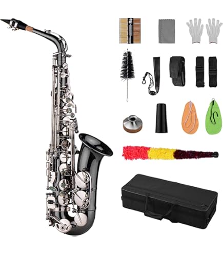 Amazon.com: Aiollns JAS-802 Alto Saxophone E Flat Black Color
