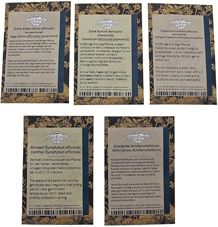 Magic Garden Seeds Plantas medicinales - Kit de Semillas Regalo ...