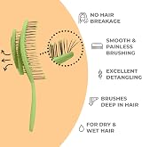 Ninabella Detangling Hair Brush Lime Green—Wet and Dry Tangle Remover view 2