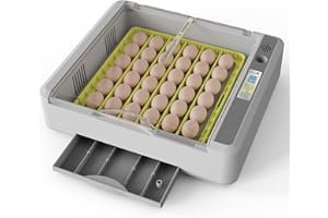 SENXINGYAN Egg Incubator for Hatching Chicks, 36 Eggs Automatic Turner with Temperature & Humidity Control, Multifunctional Ultra-Clear Panoramic View with Hatch Days & Egg Candler for Chicken, Duck, Goose, Bird