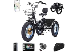 CroSight 2.0 Electric Tricycle for Adults, 20"x4" Fat Tire Folding Electric Trike, 750W 48V 20Ah Long-Range Battery, Built-in