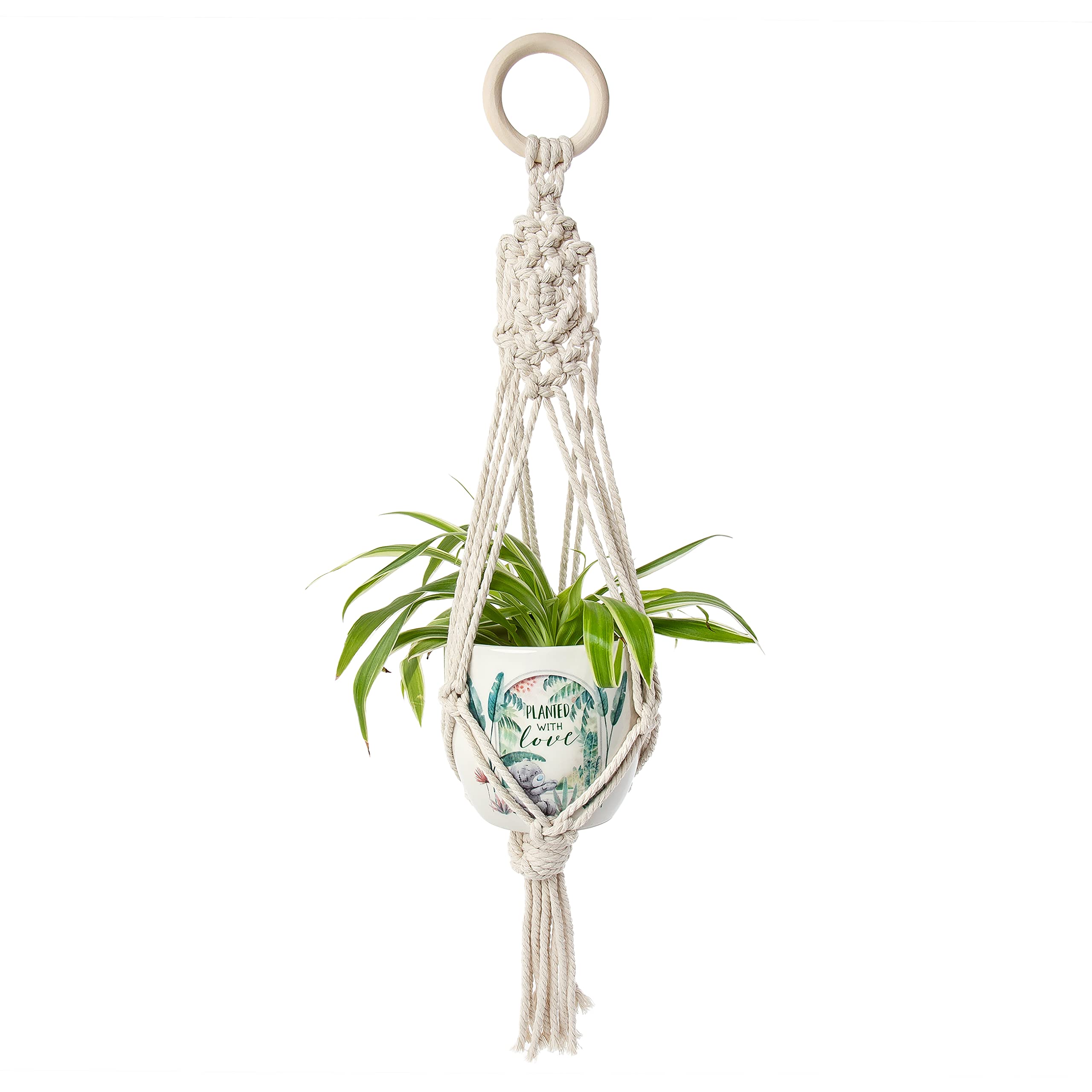 Me To You Bear Plant Pot, Grey. AGZ01157