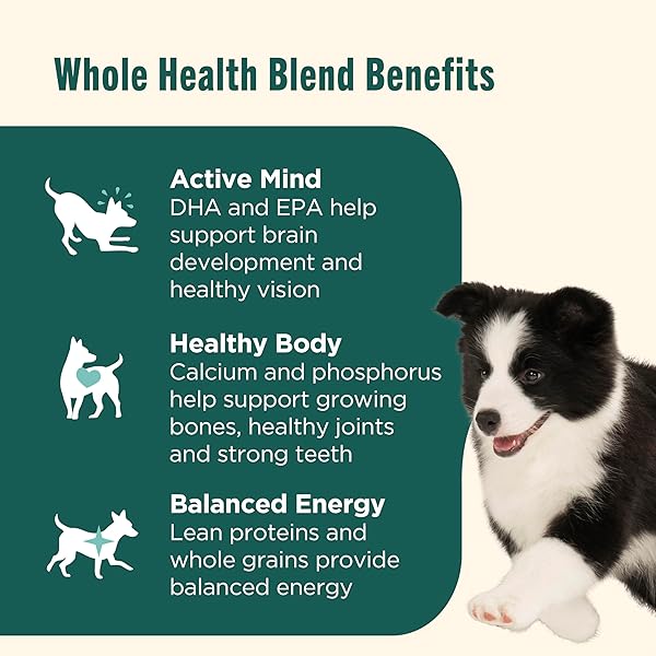 NUTRISH PUPPY REAL CHICKEN & BROWN RICE RECIPE WHOLE HEALTH BLEND DRY DOG FOOD, 6 LB. BAG, PACKAGING MAY VARY (RACHAEL RAY)