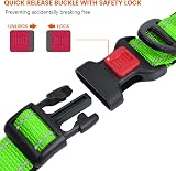 Taglory Reflective Nylon Dog Collar XS Green Safety Buckle Neoprene Padding view 3