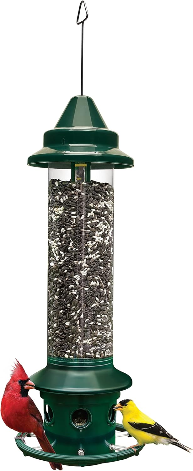 Backyard Birding & Wildlife - Squirrel Buster Plus Squirrel-proof Bird Feeder w/Cardinal Ring and 6 Feeding Ports, 5.1-pound Seed Capacity, Adjustable, Pole-mountable (POLE ADAPTOR SOLD SEPARATELY), Green