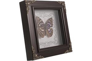 GARVALON Framed Butterfly Specimen Display Butterfly Decorative Wooden Frame Art for Home